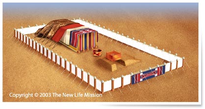 The fourth covering of the Tabernacle