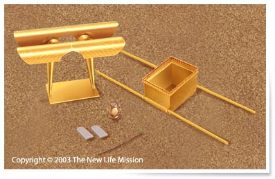 The Ark of the Testimony 